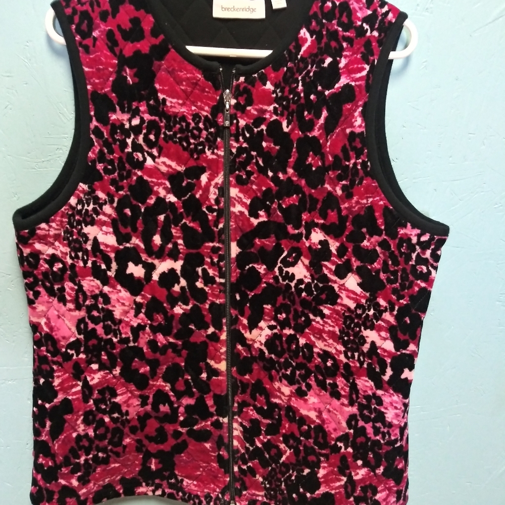 Vest